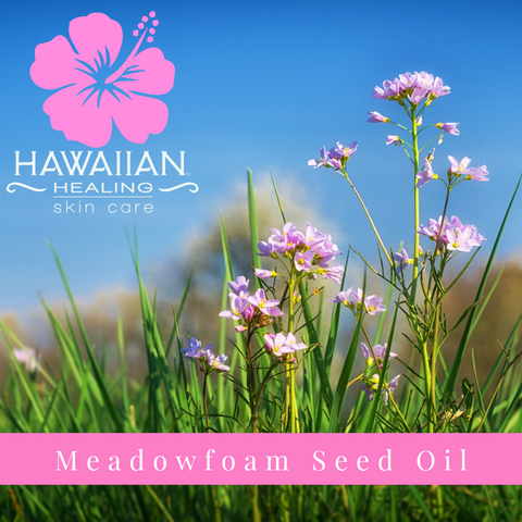 Meet Our Ingredients: Meadowfoam Seed Oil