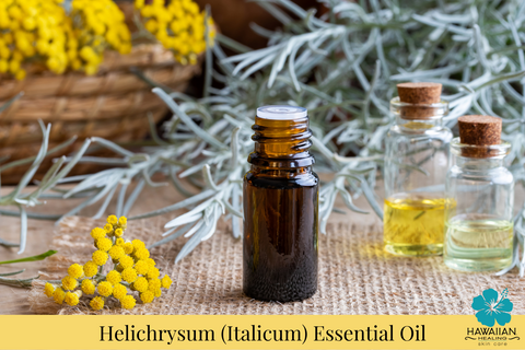 Meet Our Ingredients: Helichrysum Italicum Essential Oil