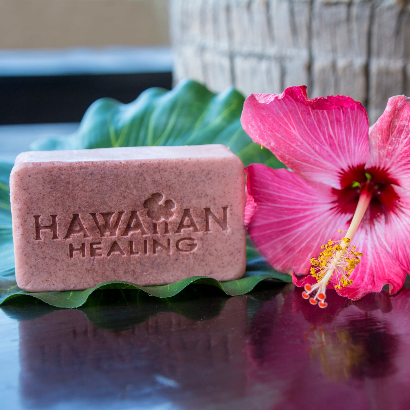 Hawaiian Healing Skin Care | Hand-Crafted, Moisturizing KioKio Coconut Beauty Bar Soap 5oz - Hawaiian Healing