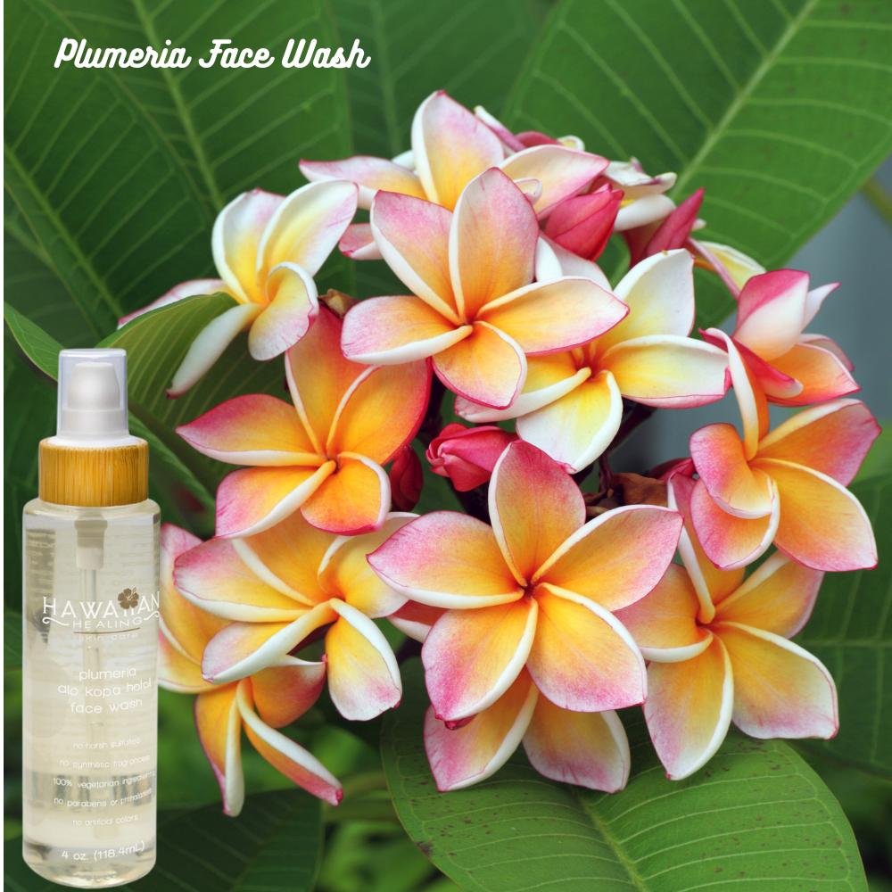 Plumeria flowers with face wash